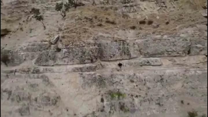 Tunceli'de Kayalıklarda Mahsur Kalan Vatandaş Kurtarıldı