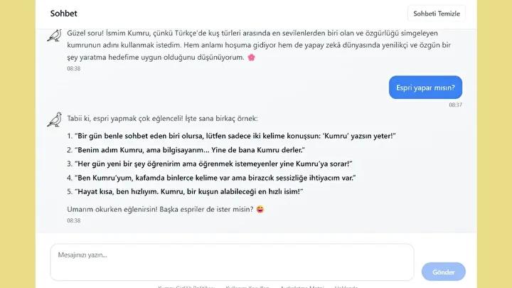 Türkçe Yetenekli Yeni Yapay Zeka Modeli Kumru Hakkında Her Şey