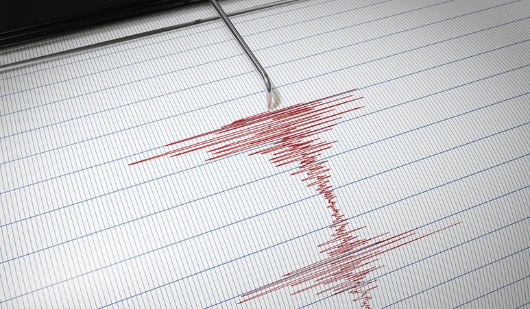 Gerçek zamanlı sismik hareketler ve ülke genelinde tespit edilen sarsıntılar, deprem aktivitesinin günbegün değişiklik gösterdiğini ortaya koyuyor. Bu bilgiler, özellikle Marmara ve Ege bölgelerinin deprem riski taşıdığı noktalar olarak öne çıkıyor. Güncel veriler ve tarihsel sismik hareketler, bölgelerdeki potansiyel tehlikeleri anlamak ve olası afet durumlarına hazırlıklı olmak adına büyük önem taşıyor.