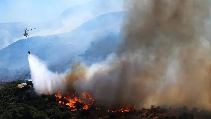 Seferberliğin Amacı ve Önemi