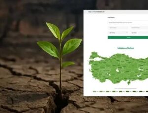 Türkiye’de Yeşil Bir Gelecek İçin Büyük Ağaçlandırma Seferberliği Başlıyor