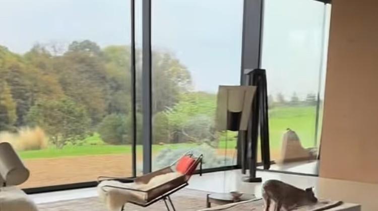 Eksen Değişimi: Kırsaldaki Lüks Çiftlik Evi