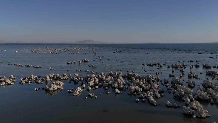 Van Gölü'nün Azalan Su Seviyesi Çevreyi ve Ekonomiyi Nasıl Etkiliyor?