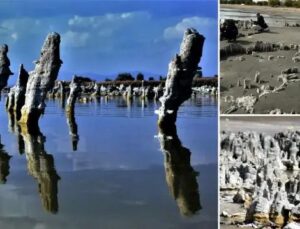 Van Gölü’nün Kuraklıkla Yeniden Keşfedilen Mikrobiyalitleri