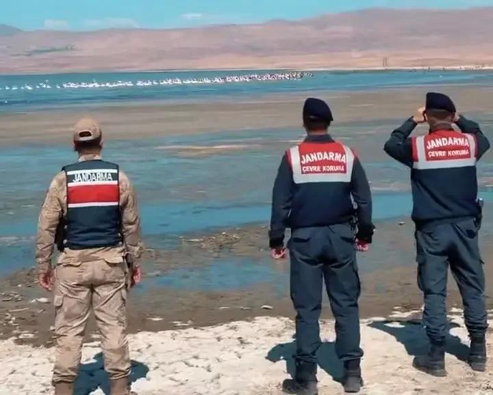 Van İl Jandarma’dan Doğa ve Kuş Koruma Çalışmalarıyla Örnek Faaliyet