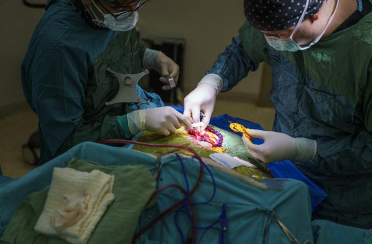 Yaşla Beraber Gelen Tat ve Koku Kayıplarının Çözüm Yolları 8 Yaşla Beraber Gelen Tat ve Koku Kayıplarının Çözüm Yolları