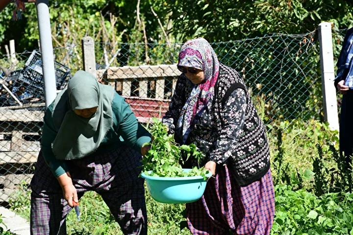 Sağlık ve Geleneksel Tarifler