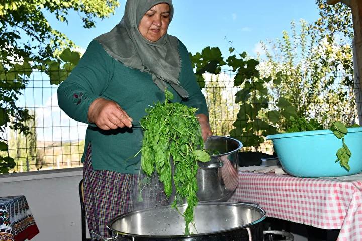 Kadınlar ve İlçe Yönetimi Desteği