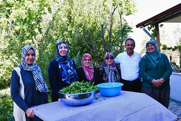 Yenipazar'da Naneli Pekmez Üretimi ve Kadınların Geleneksel Girişimi