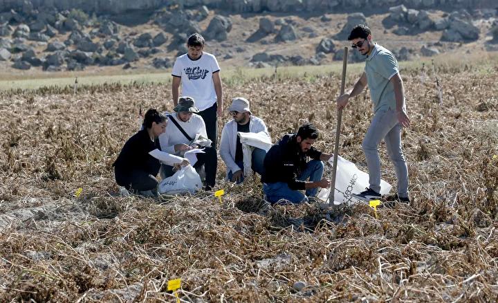 Yerli Rizobakteri İzolasyonu ve Organik Tarımda Yenilikçi Uygulamalar