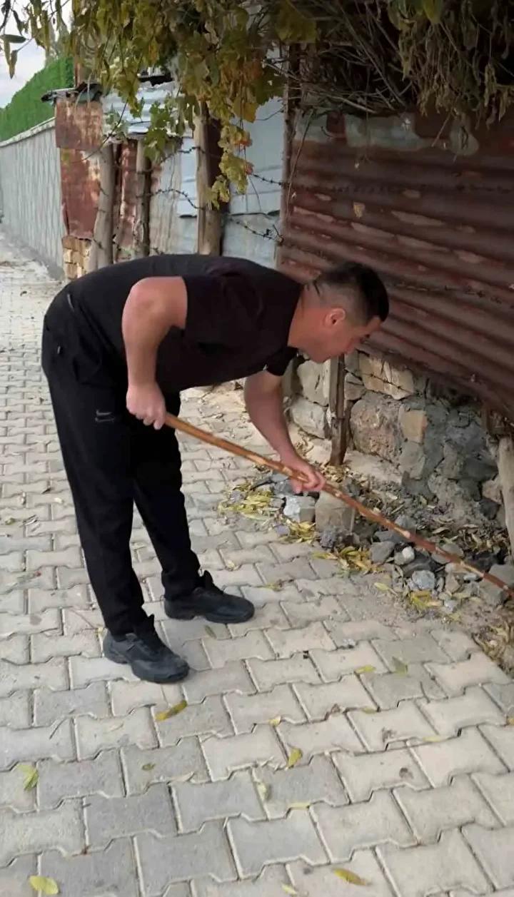 Yılan Tehdidi Sonrasında Mahallede Hayvan Sevgi Dolu Yaklaşım