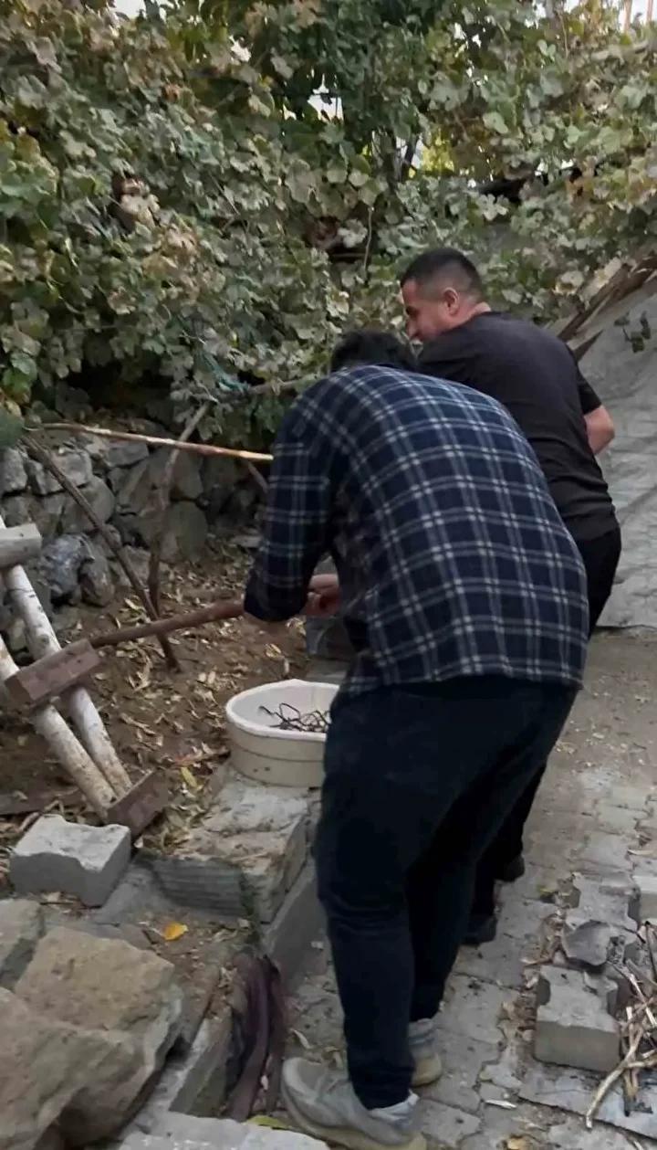 Yılan Tehdidi Sonrasında Mahallede Hayvan Sevgi Dolu Yaklaşım