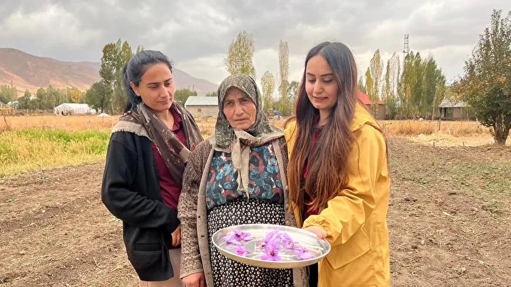 Yüksekova Kadınlarından Safran Ekimiyle Tarımsal Yeni Bir Dönem 7 Yüksekova Kadınlarından Safran Ekimiyle Tarımsal Yeni Bir Dönem