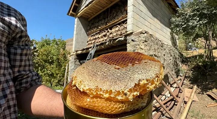 Geleneksel Arıcılık ve Özel Farklar