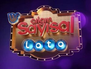 1 Kasım 2025 Çılgın Sayısal Loto Sonuçları ve Detaylı Oynama Kılavuzu