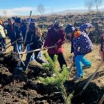 10 Kasim ve 11 Kasim Doga ve Vatan Sevgini Birlestiren Fidan Dikim Etkinlikleriyle Anlamlandiriliyor