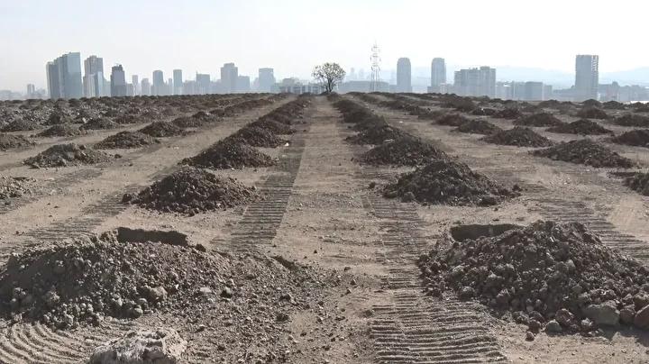 Fidan Dikiminde Vatandaslarin Rolu