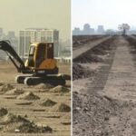 11 Kasim Milli Agaclandirma Gununde Ankarada 423 Bin Fidan Topraga Verilecek