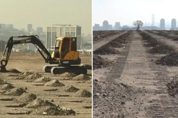 11 Kasım Milli Ağaçlandırma Günü’nde Ankara’da 423 Bin Fidan Toprağa Verilecek