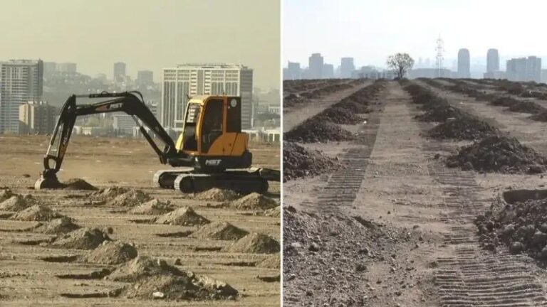 11 Kasim Milli Agaclandirma Gununde Ankarada 423 Bin Fidan Topraga Verilecek