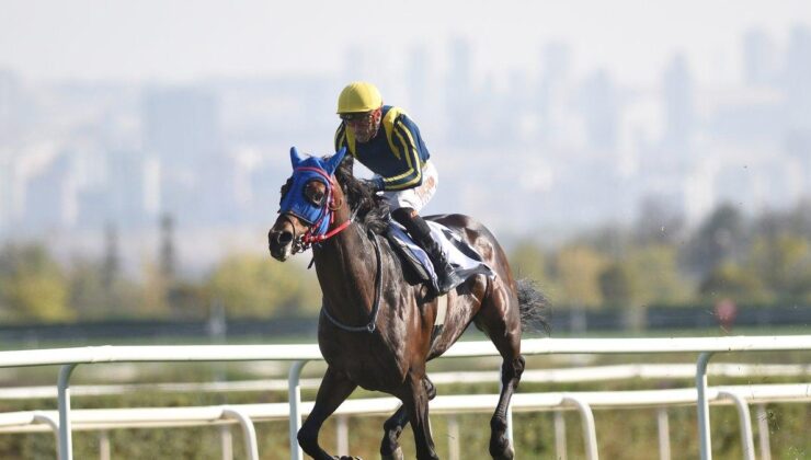 75. Yıl Ankara Hipodromu’nda Heyecanlı Cumhurbaşkanlığı Koşusu Sonuçları