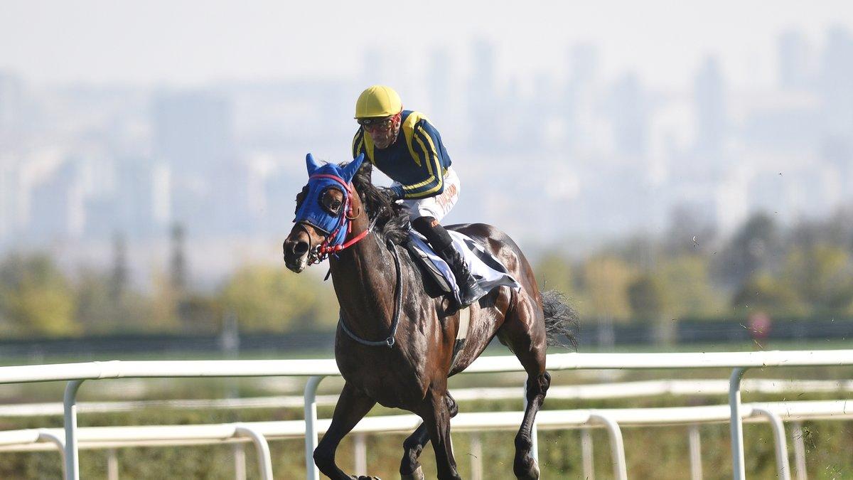 75. Yıl Ankara Hipodromu’nda Heyecanlı Cumhurbaşkanlığı Koşusu Sonuçları