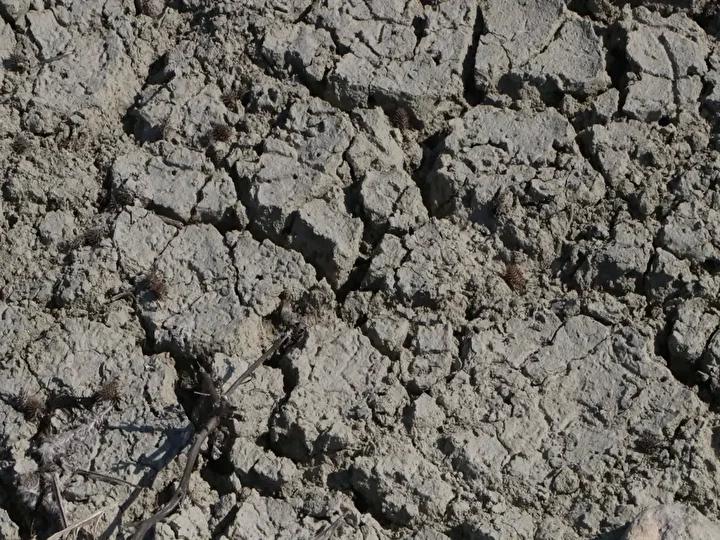 Kuraklıkla Açığa Çıkan Tarihi Köprü