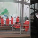 Almanyada Filistin Dayanismasi ve Liman Eylemleriyle Savas Karsiti Hareket