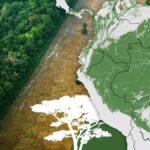 Amazon Ormanlari Tehdit Altinda COP30 Belem8217de Kuresel Iklim Mucadelesi ve Yagmur Ormanlarinin