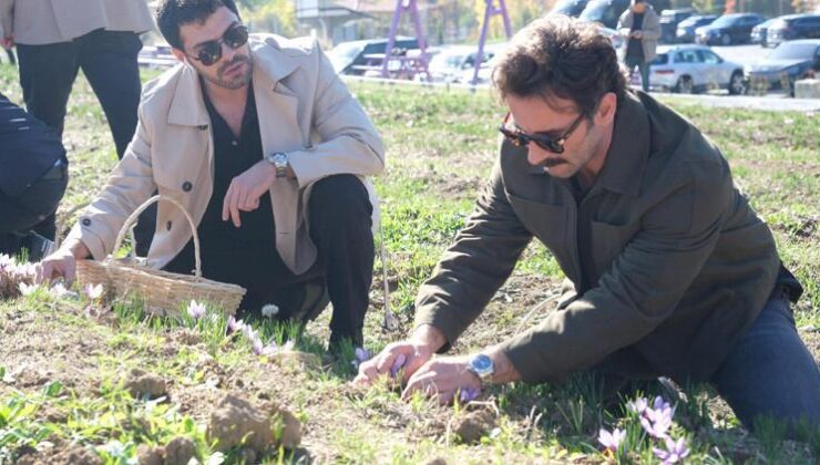 Anadoludakiler Projesi’nde Safran Hasadı Etkileyici Anlara Sahne Oldu