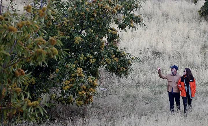 Antalya’da Aileden Gelen Gelenekle Tarımda Büyük Başarı