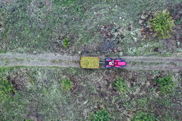 Gelenek ve Gelecek İçin Çaba