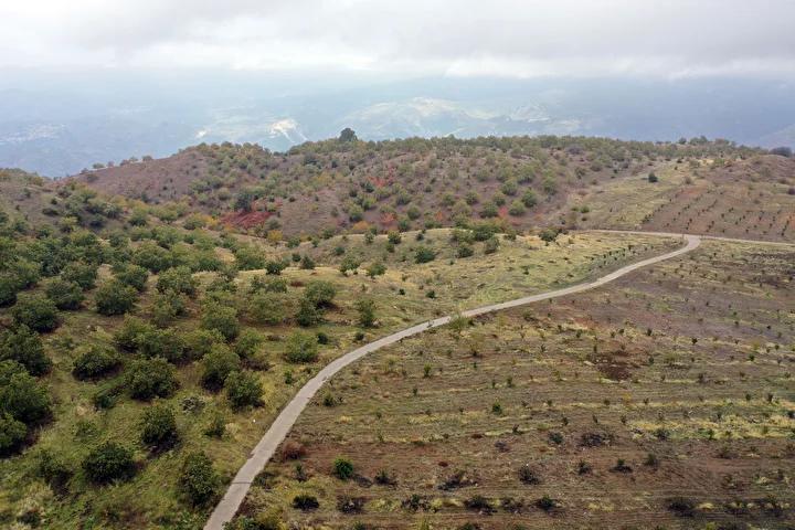 Antalya’da Aileden Gelen Gelenekle Tarımda Büyük Başarı