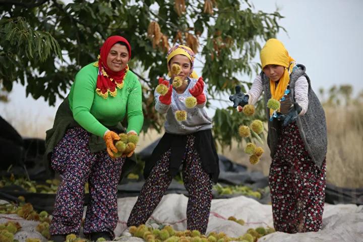 Gelenek ve Gelecek İçin Çaba