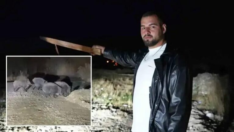 Atbaklari Kontrol Ederken Domuz Surusuyle Karsilasan Ciftin Ilginc Anlari