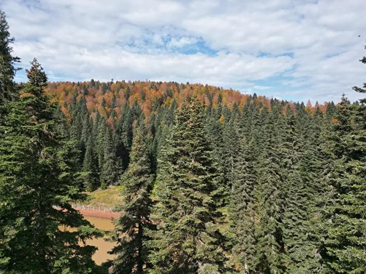 Bartın ve Karabük Yaylalarında Sonbahar Renkleri Büyülüyor