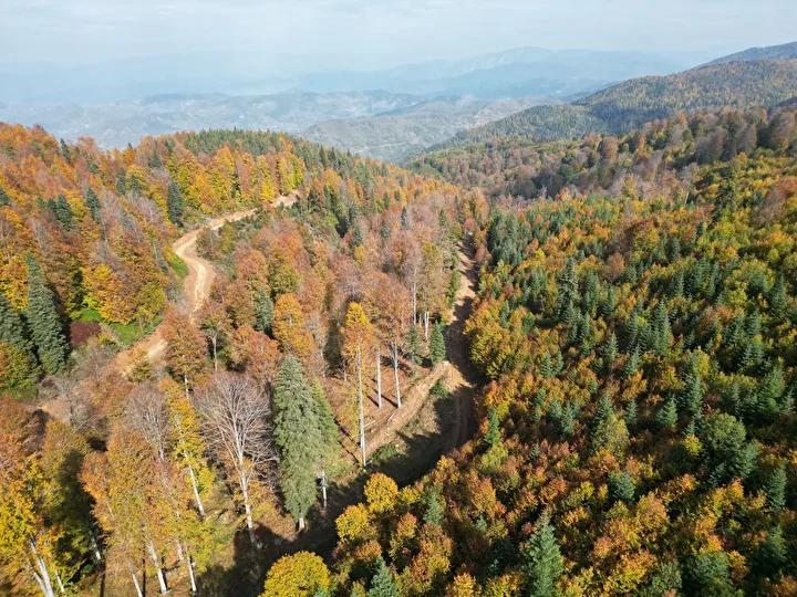 Bartın ve Karabük Yaylalarında Sonbahar Renkleri Büyülüyor