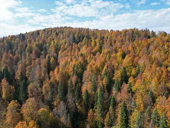 Bartın ve Karabük Yaylalarında Sonbahar Renkleri Büyülüyor