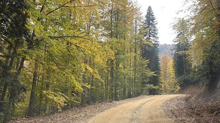 Bartın ve Karabük Yaylalarında Sonbahar Renkleri Büyülüyor