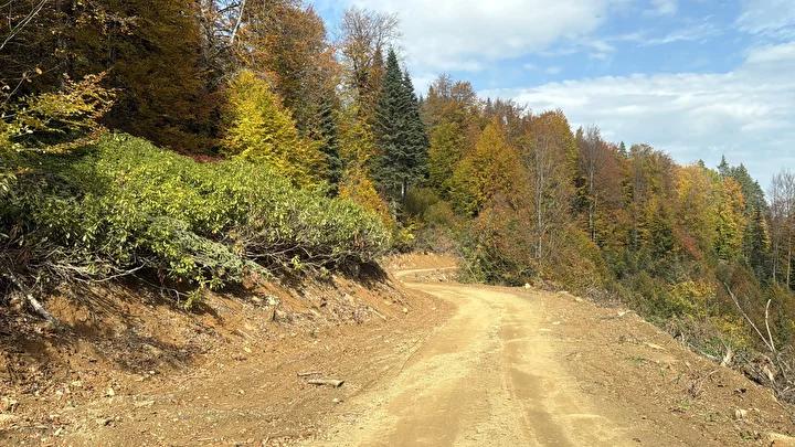 Bartın ve Karabük Yaylalarında Sonbahar Renkleri Büyülüyor