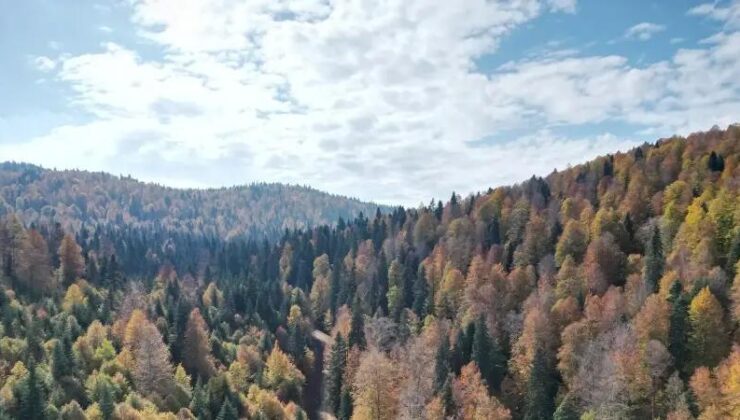 Bartın ve Karabük Yaylalarında Sonbahar Renkleri Büyülüyor