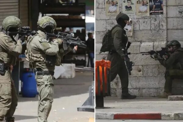 Batı Şeria’da Zeytin Ağaçlarına Yönelik Yıkım ve Zararlar Artıyor