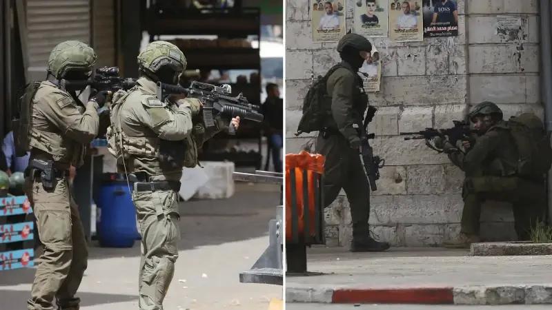 Bati Seria8217da Zeytin Agaclarina Yonelik Yikim ve Zararlar Artiyor