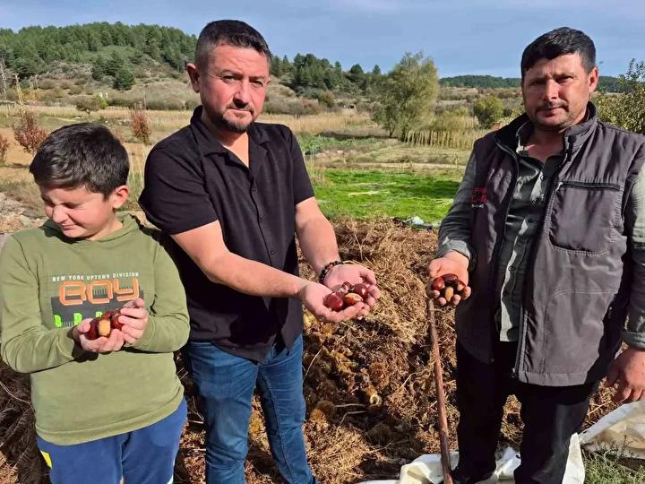 Surecin Detaylari ve Ureticilerin Gorusleri