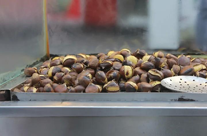 Buldanda Cografi Isaretli Alandiz Kestanesinde Hasat Sevinci