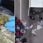 Burdur8217da Narkotik Operasyonu Buyuk Basariyla Sonuclandi