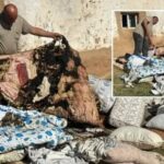 Ceylanpinarda Gorulmemis Yangin Olaylari Mahalleyi Korku Icinde Birakti