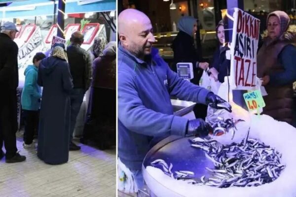 Çorum’da Balıkseverler Uygun Fiyatlı Hamsi İçin Kuyrukta Buluştu