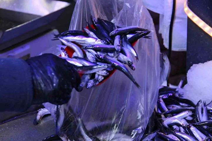 Corumda Ucuz Hamsi Satislari Vatandaslari Memnun Etti 5 Corumda Ucuz Hamsi Satislari Vatandaslari Memnun Etti