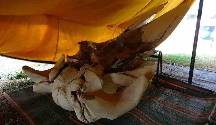 Öğrencilerin aktif katılımıyla önemli bir deneyim